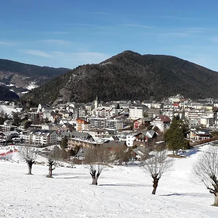 Renove, 100m Du Centre Du Village, - Fr-1-689-22 * Villard-de-Lans